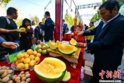 五一广场最新吃瓜爆料,揭秘神秘事件背后的真相！